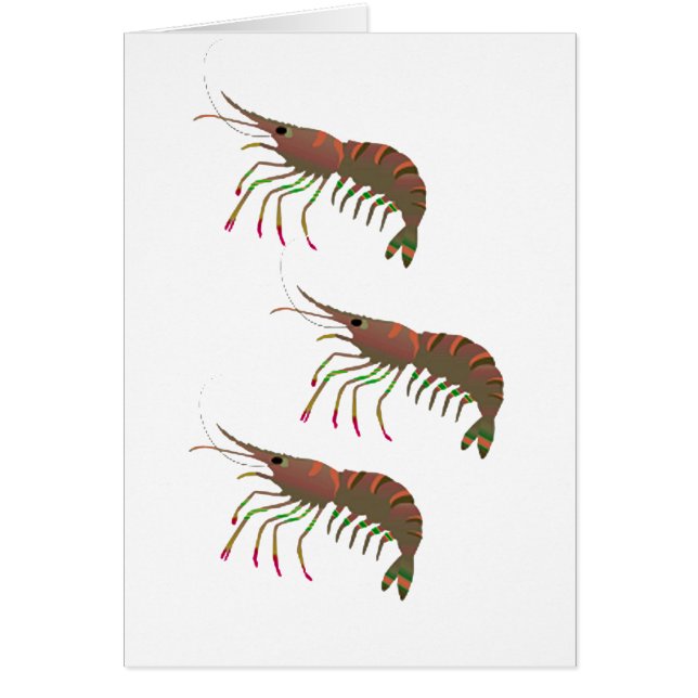 BINNEN DE BAY (Voorkant)