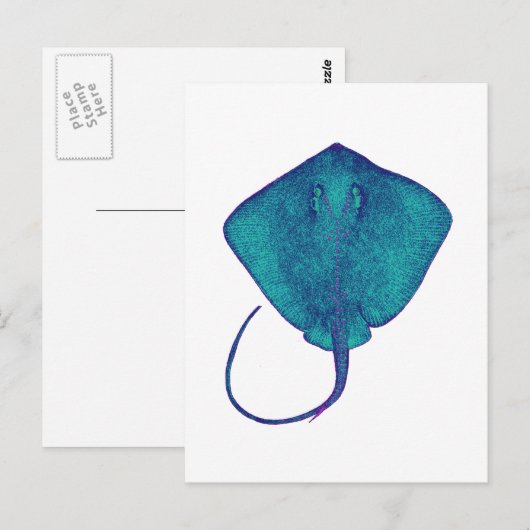 BINNEN DE BLAUW BRIEFKAART (Voorkant / Achterkant)