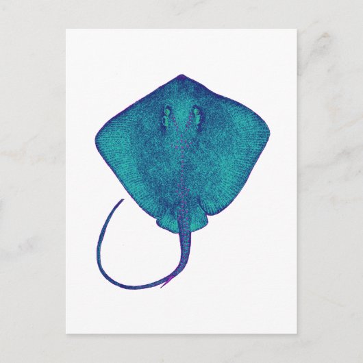 BINNEN DE BLAUW BRIEFKAART (Voorkant)