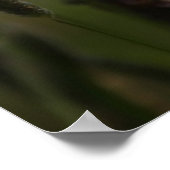 Binnen de Hay Poster (Hoek)