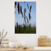 Binnen de Hay Poster (Keuken)