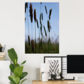 Binnen de Hay Poster (Thuiskantoor)