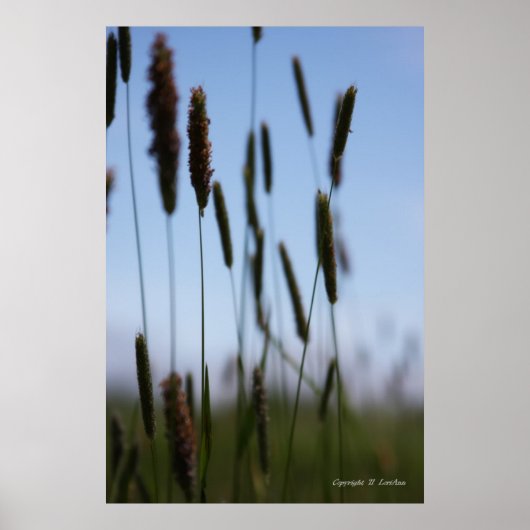 Binnen de Hay Poster (Voorkant)