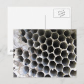 Binnen de Hive Briefkaart (Voorkant / Achterkant)