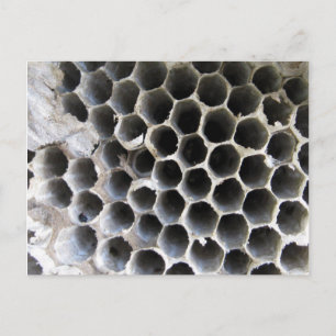 Binnen de Hive Briefkaart