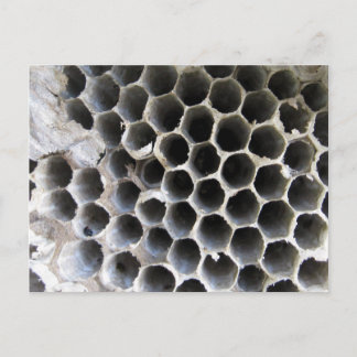 Binnen de Hive Briefkaart