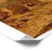 Binnen de hoofdingang van de Purana Qila, Delhi Poster (Hoek)