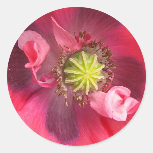 Binnen de maaltijd ronde sticker (Voorkant)