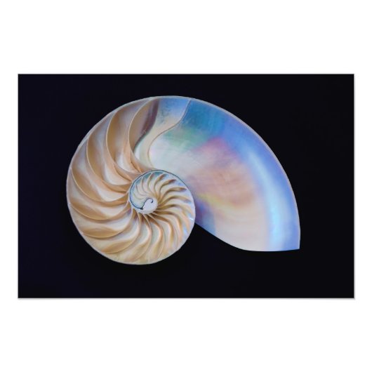 Binnen de Nautilus Foto Afdruk (Voorkant)