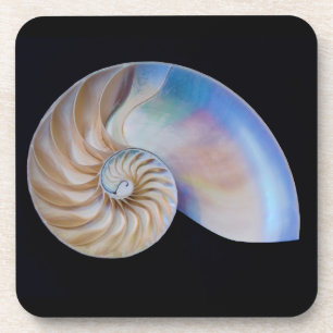 Binnen de Nautilus Onderzetter