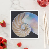 Binnen de Nautilus Servet (Insitu)