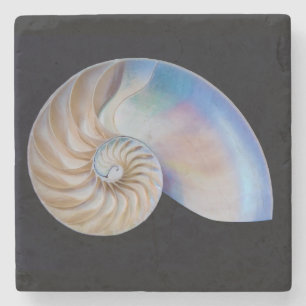 Binnen de Nautilus Stenen Onderzetter