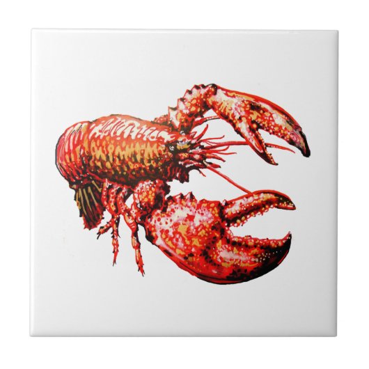 BINNEN DE WETGEVING TEGELTJE (Voorkant)