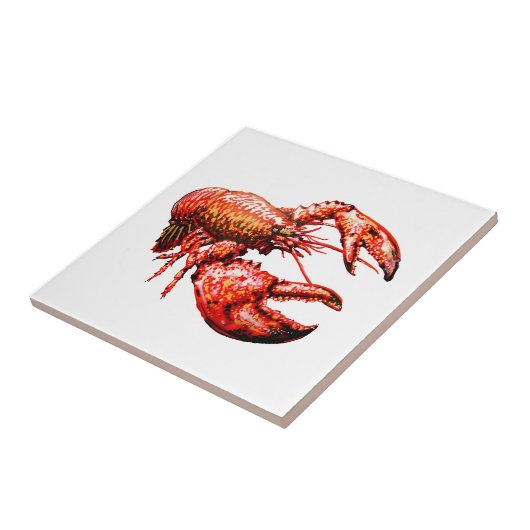 BINNEN DE WETGEVING TEGELTJE (Zijkant)