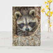 Binnen een boomgaard gehuisvest kaart (Gele Bloem)