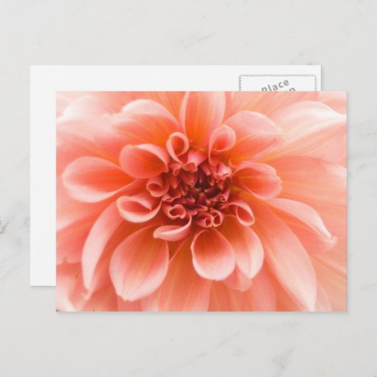 Binnen een Dahlia Flower Briefkaart (Voorkant / Achterkant)
