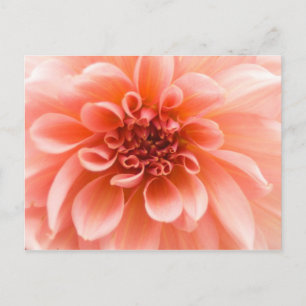 Binnen een Dahlia Flower Briefkaart