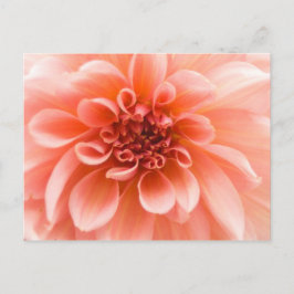 Binnen een Dahlia Flower Briefkaart