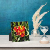 Binnen een Flaming Parrot Tulip Fotoplaat (Insitu)