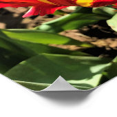 Binnen een Flaming Parrot Tulip Poster (Hoek)