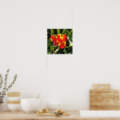 Binnen een Flaming Parrot Tulip Poster (Keuken)