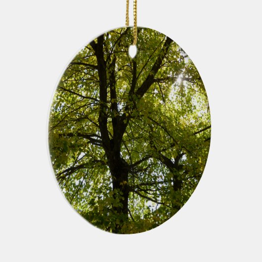 Binnen een gele esdoorn herfst keramisch ornament (Rechts)