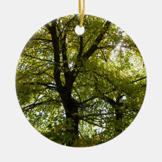 Binnen een gele esdoorn herfst keramisch ornament (Voorkant)