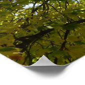 Binnen een gele esdoorn herfst poster (Hoek)