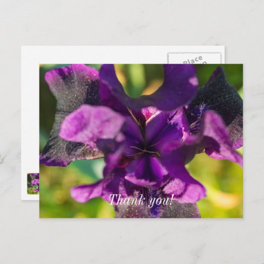 Binnen een Iris Hartelijk dank Briefkaart (Voorkant / Achterkant)