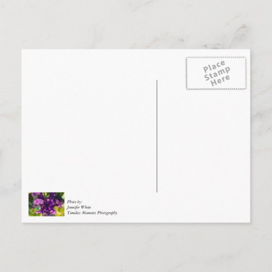 Binnen een Iris Hartelijk dank Briefkaart (Achterkant)