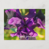 Binnen een Iris Hartelijk dank Briefkaart (Voorkant)