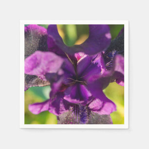 Binnen een Iris Servet