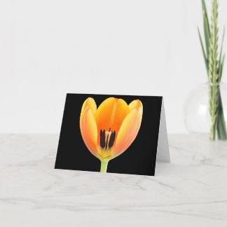Binnen een oranje gekleurde tulp bedankkaart