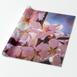 Binnen een Sakura-boom Cadeaupapier