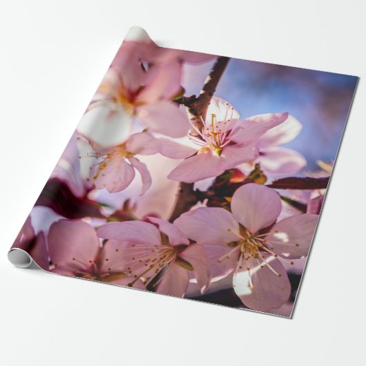Binnen een Sakura-boom Cadeaupapier (Uitgerold)