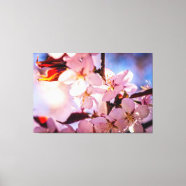 Binnen een Sakura-boom Canvas Afdruk