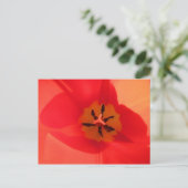 Binnen een Tulip Briefkaart (Staand voorkant)