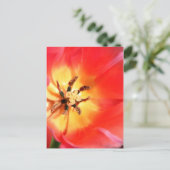 Binnen een Tulip Briefkaart (Staand voorkant)