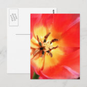 Binnen een Tulip Briefkaart (Voorkant / Achterkant)