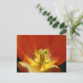 Binnen een Tulip Briefkaart (Staand voorkant)