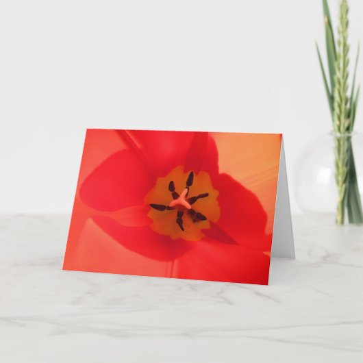 Binnen een Tulip Kaart (Voorkant)
