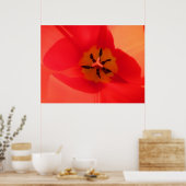 Binnen een Tulip Poster (Keuken)