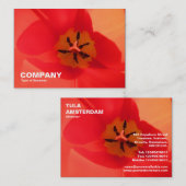 Binnen een Tulip Visitekaartje (Voorkant / Achterkant)
