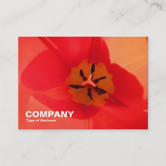 Binnen een Tulip Visitekaartje (Voorkant)