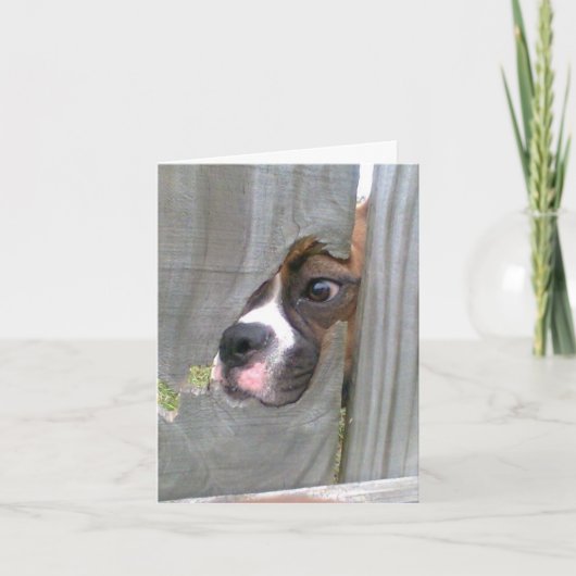 Binnen enkel Glurend Kaart (Voorkant)