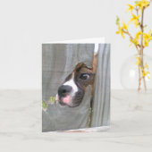 Binnen enkel Glurend Kaart (Gele Bloem)