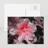 Binnen gloed Briefkaart (Voorkant / Achterkant)