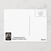 Binnen het kasteel van Dracula Briefkaart (Achterkant)