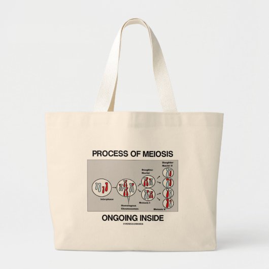 Binnen in behandeling zijnde proces van meiose grote tote bag (Voorkant)