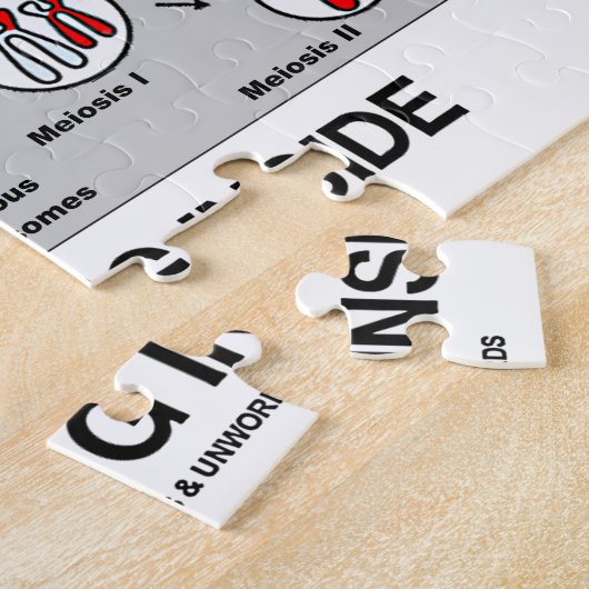 Binnen in behandeling zijnde proces van meiose legpuzzel (Zijkant)